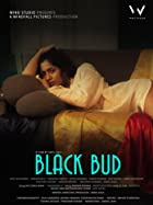 Black Bud 2021 Full Movie Download FilmyMeet